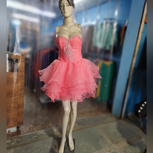 Net frock corset dress - Picture 5 of 5